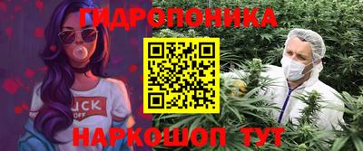 крисы Гуково