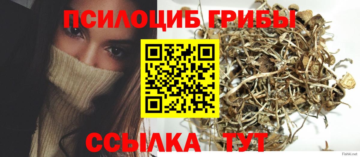Галлюциногенные грибы мухоморы Дмитров